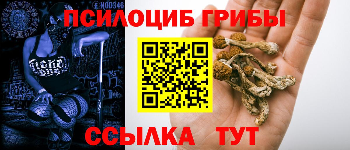 Галлюциногенные грибы мицелий Владикавказ