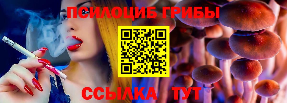 Галлюциногенные грибы мицелий  Галлюциногенные грибы Magic Shrooms  Вход с VPN  Владикавказ 